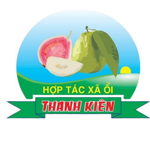 HTX Thanh Kiên